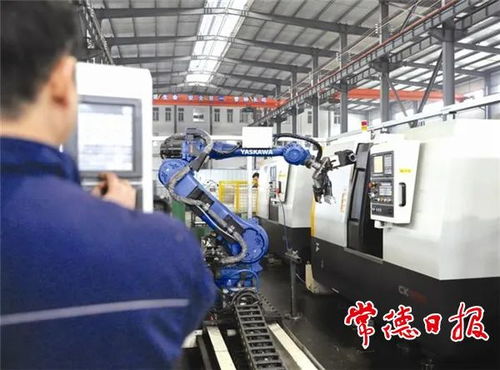 引金融活水，潤產業之花——常德財政推動非融資性擔保服務高質量發展