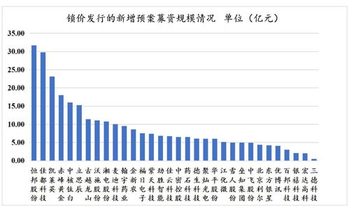 再融資新政下非公開發行戰略投資者深度研究 聚焦非融資性擔保機構的角色與挑戰